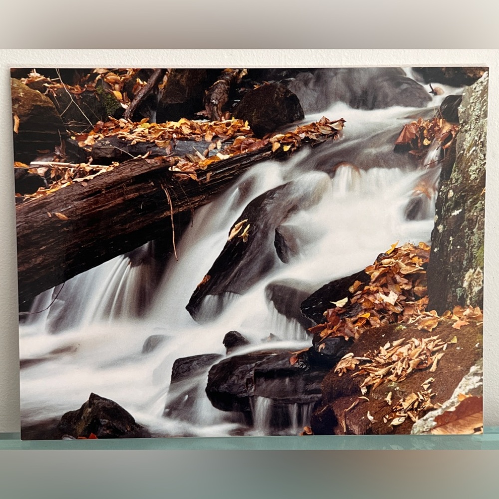 Jankowsy signed Blue Ridge Mountain Scenic Trails Photographs